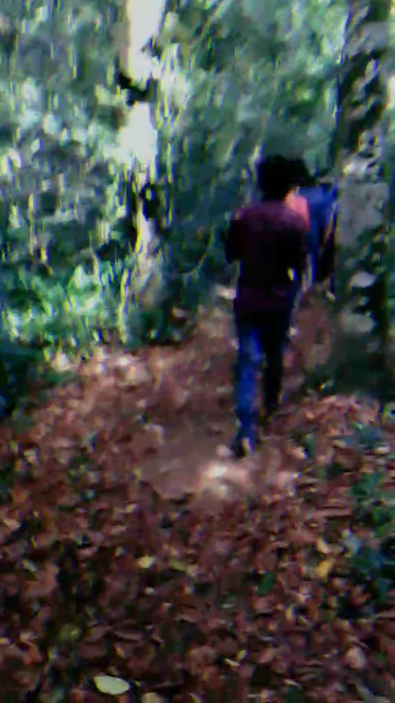 @NITHIN JACOB