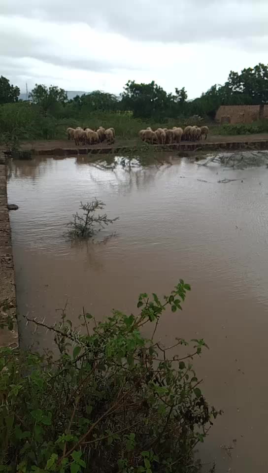@ખીમાનાથા ખીમાનાથા