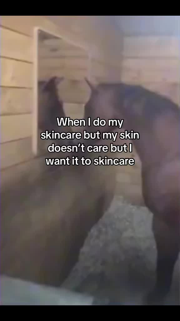 @𝓉𝒾𝓅