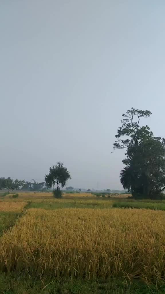 @Arti Kumari