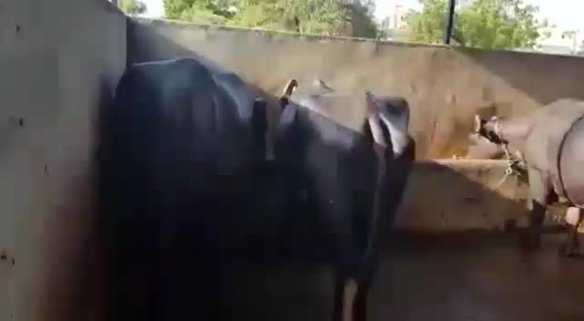 @Hardik8920