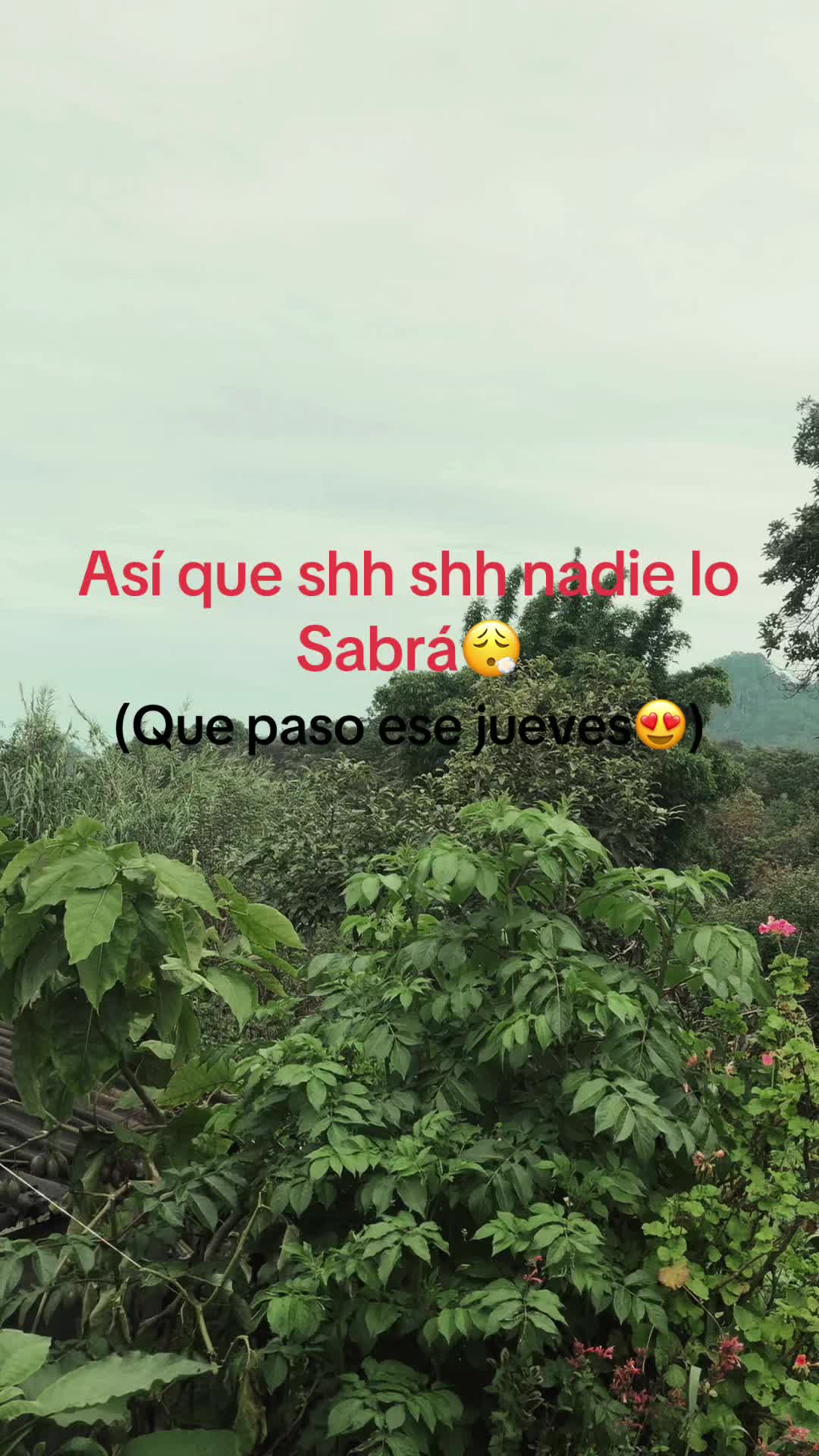 @magi_817