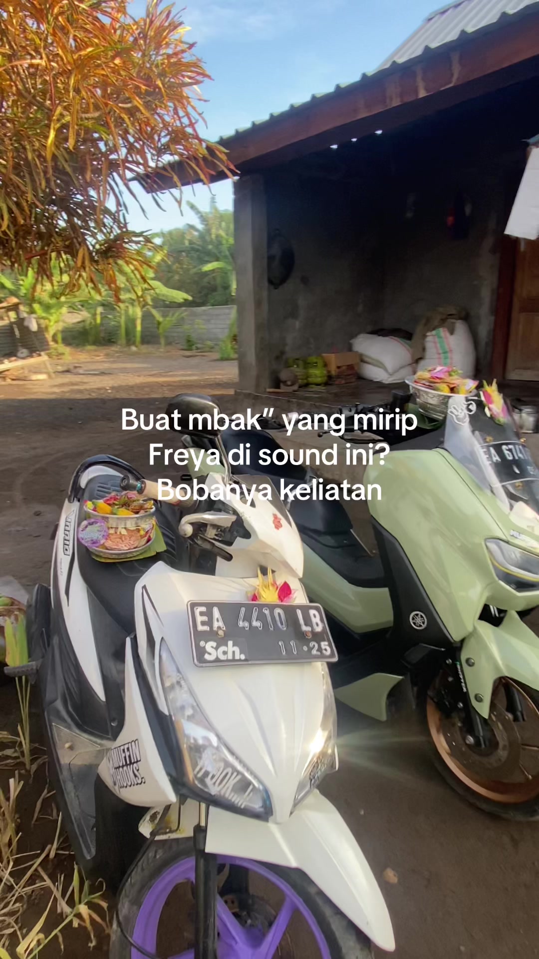 @DEDEK