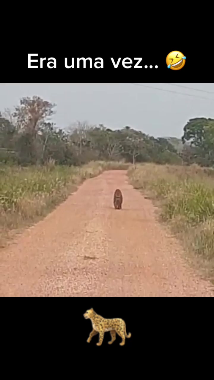 @Pantanal Sul-Matogrossense