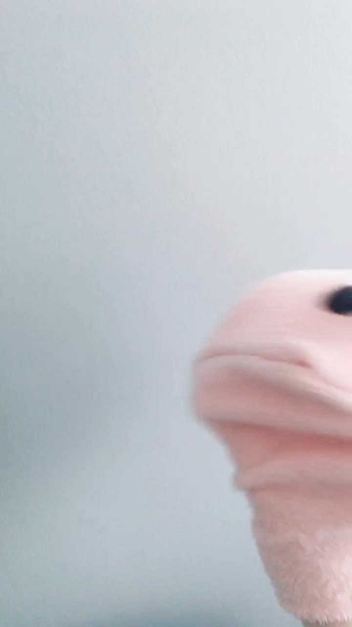 @B o b a