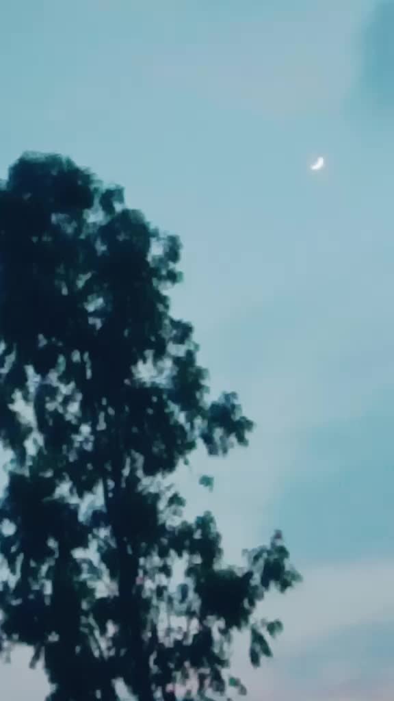 @kingvishal 😎😍😍