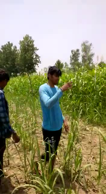 @Kapil patel