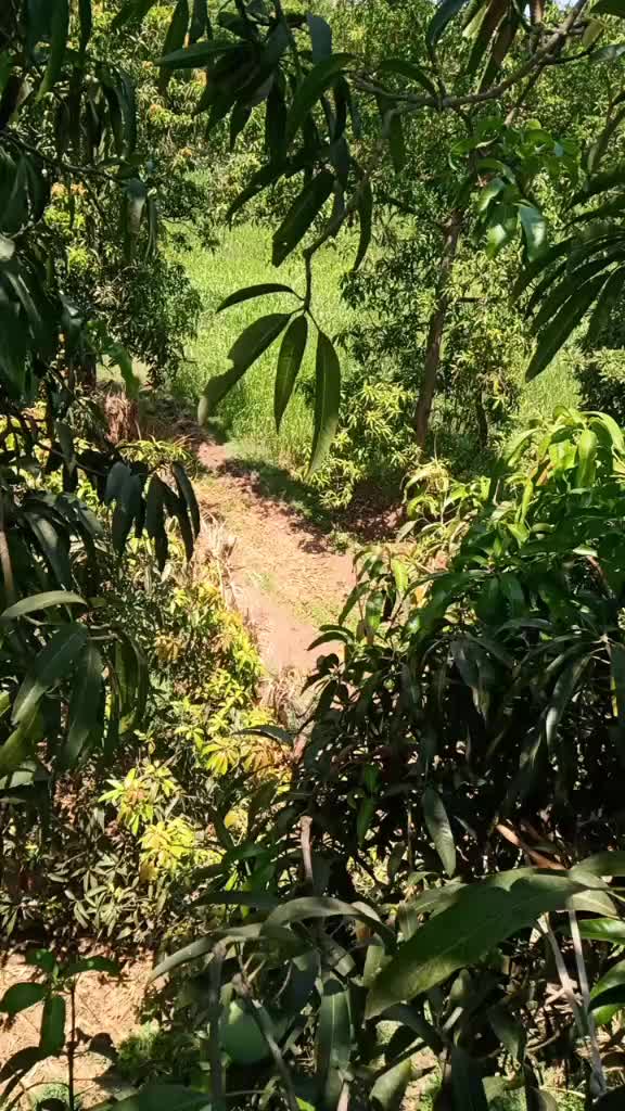@Bharat Bhaliya