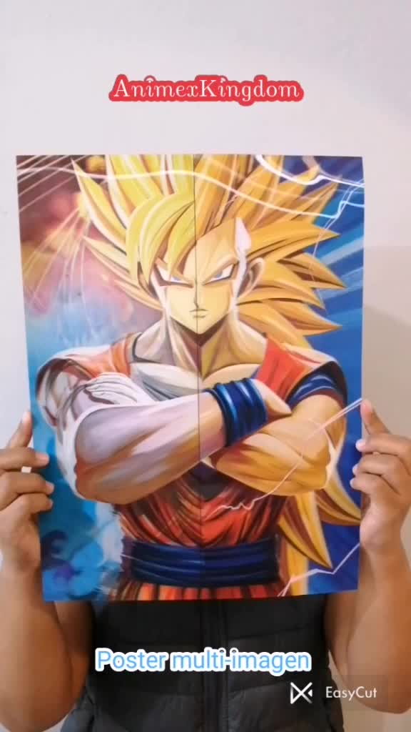 @animexkingdom