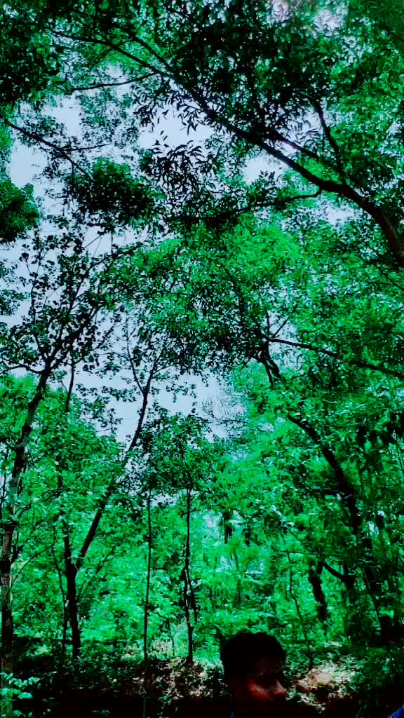 @Sujin Varkala