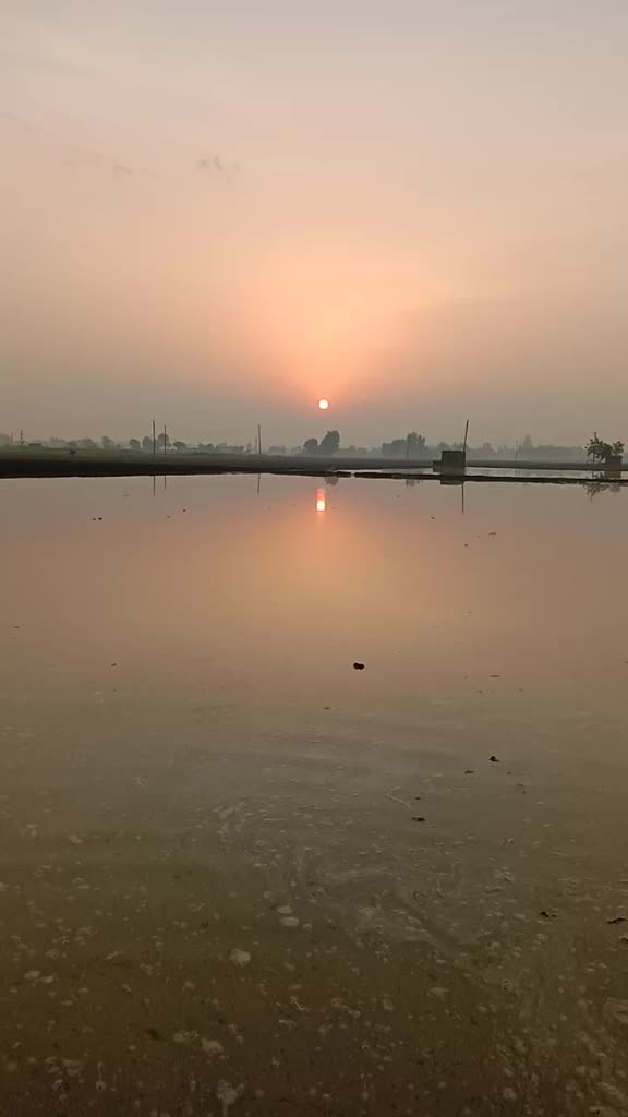 @Manjeet Singh Basra