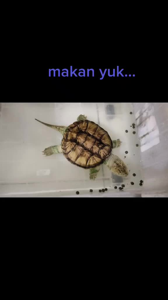 @Drg.Roby Kristiawan