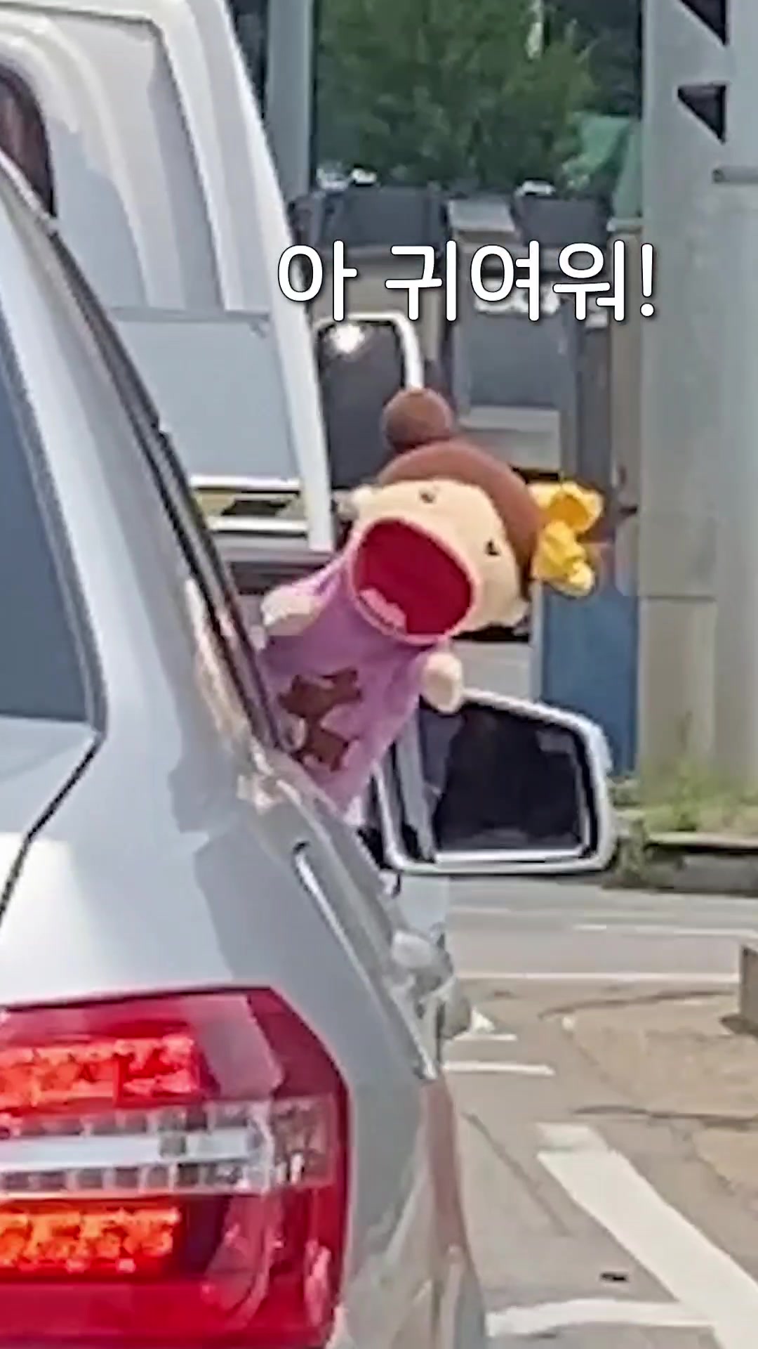 @젼토피아 jeontopia