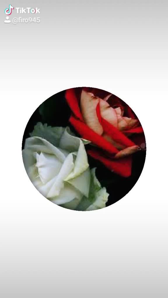 @Firoz Khan🌹🕋🌹