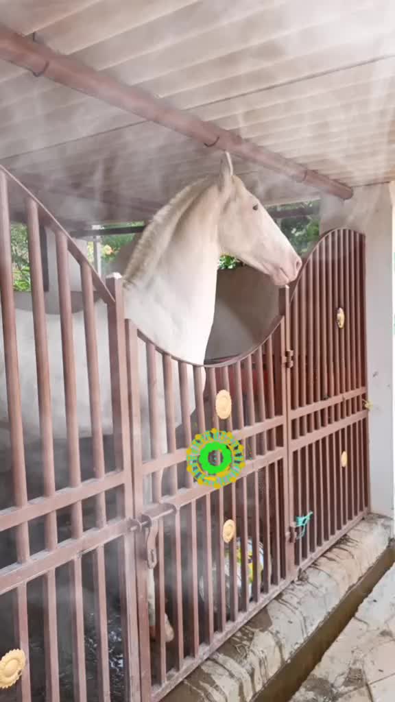 @🏇Sonu rider🏇