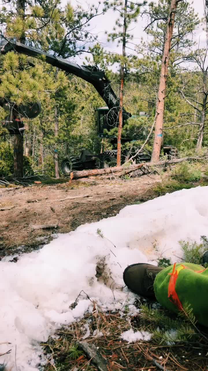 @LoggerBoy545