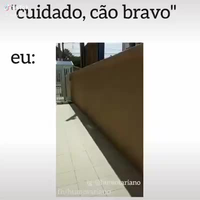 @Andressa Khalifa
