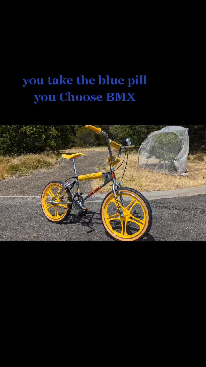 @Weetbix sends