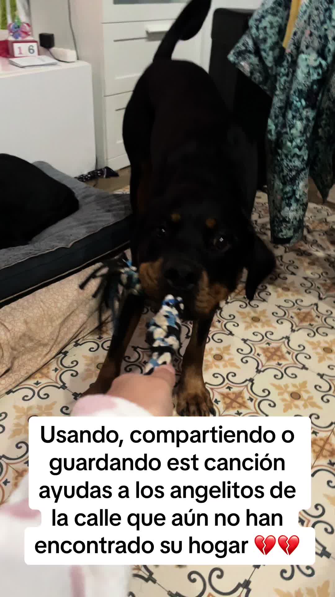 @Anubis y compañía