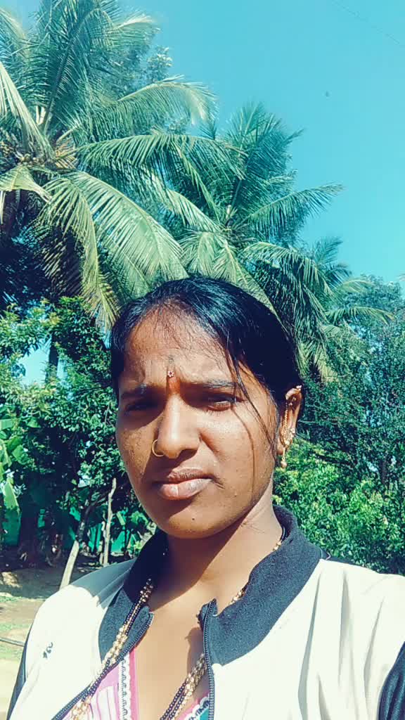 @user9526431753779