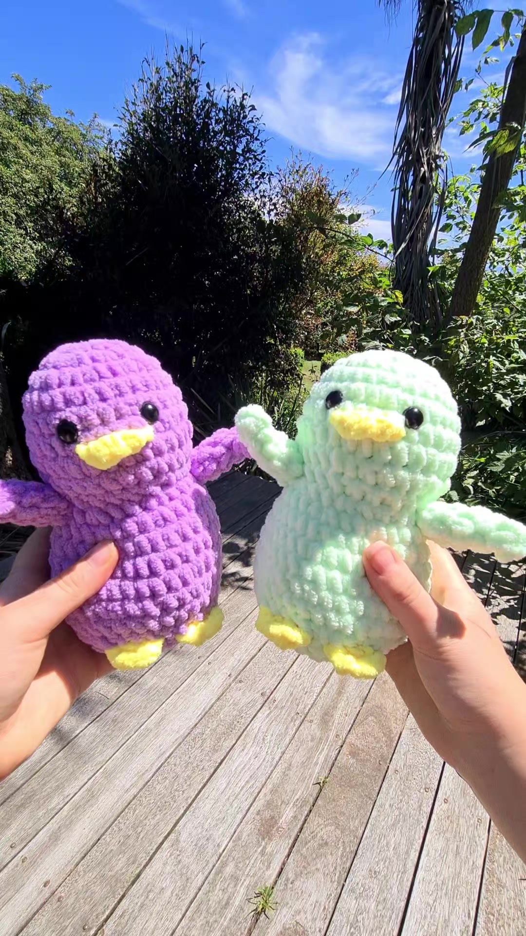 @Shania 🐧 Gippy Penguins