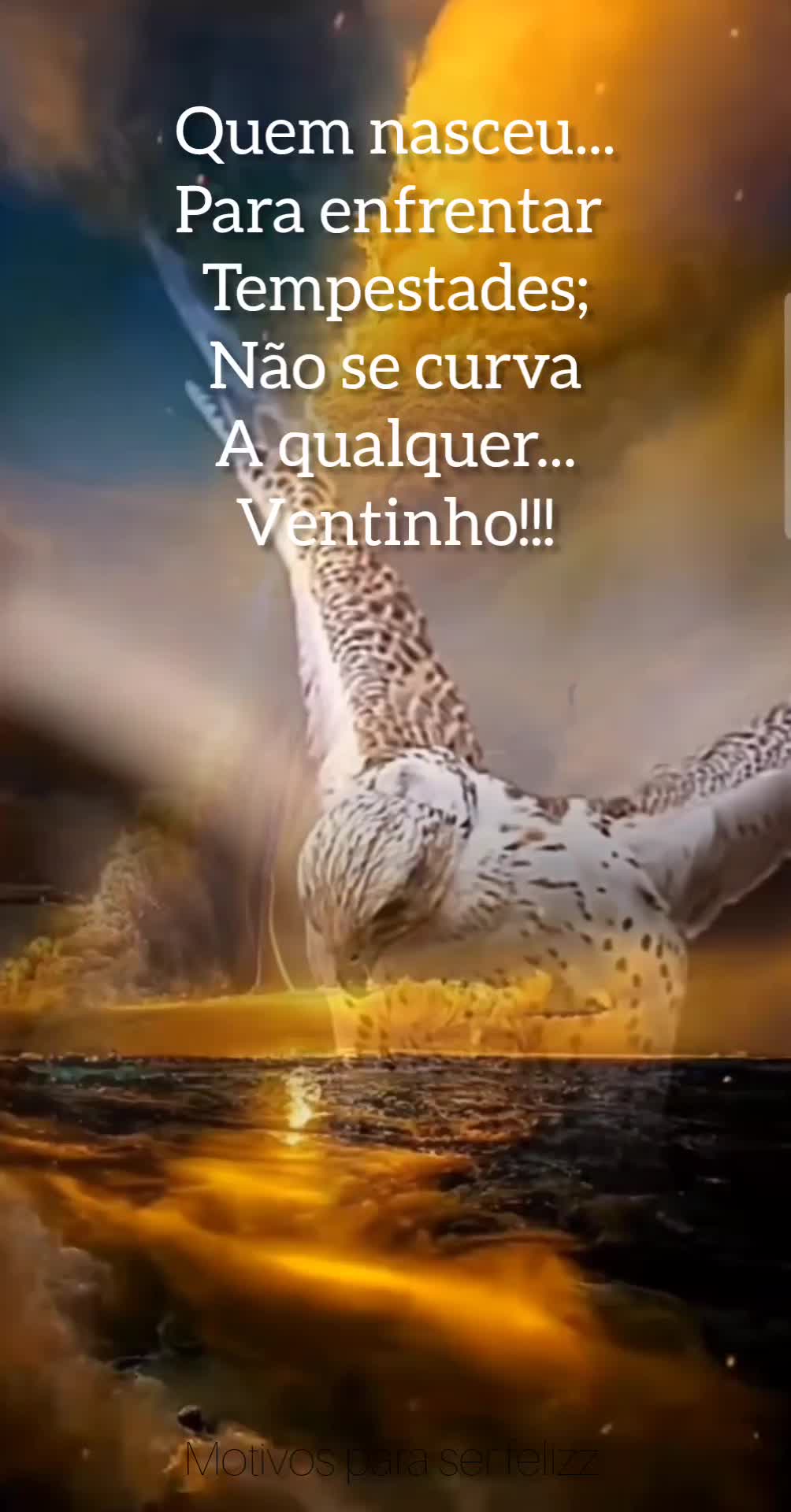 @Motivos para ser feliz