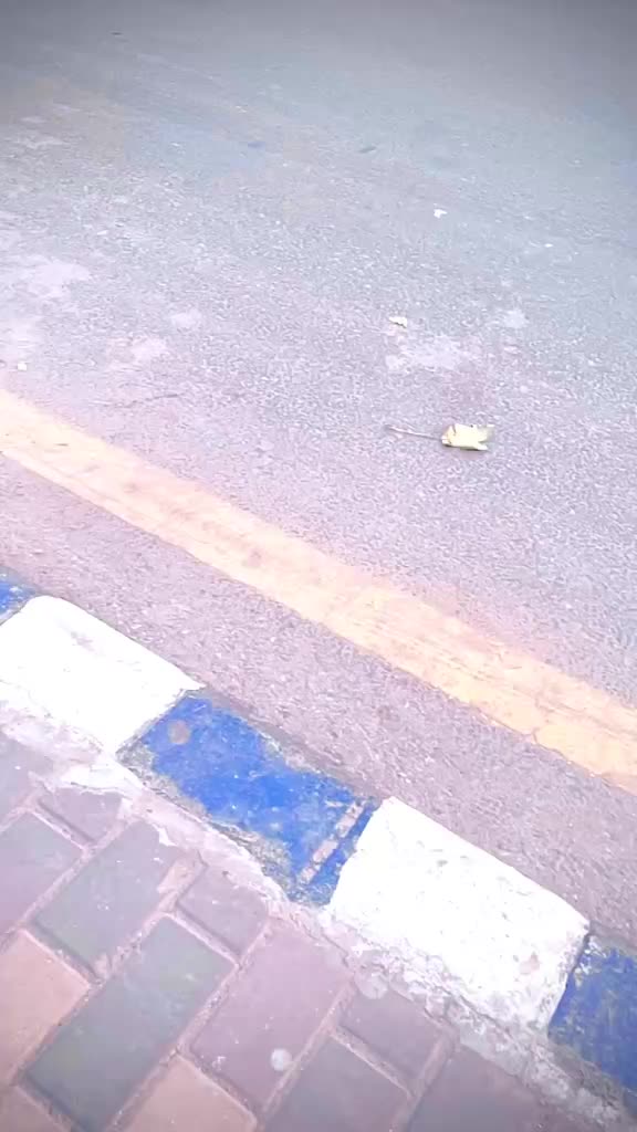 @Kamal Prajapati