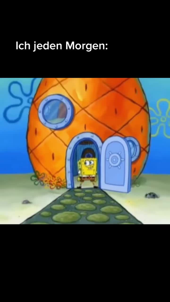 @Insta: spongebobvideos.de