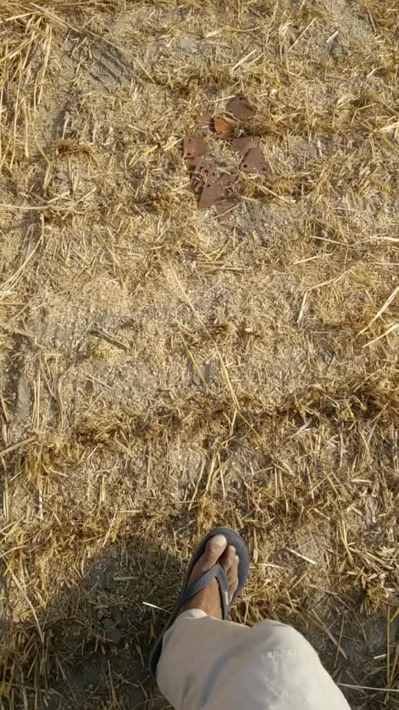 @Gurpartap Brar