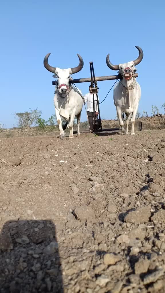 @Hardik8920