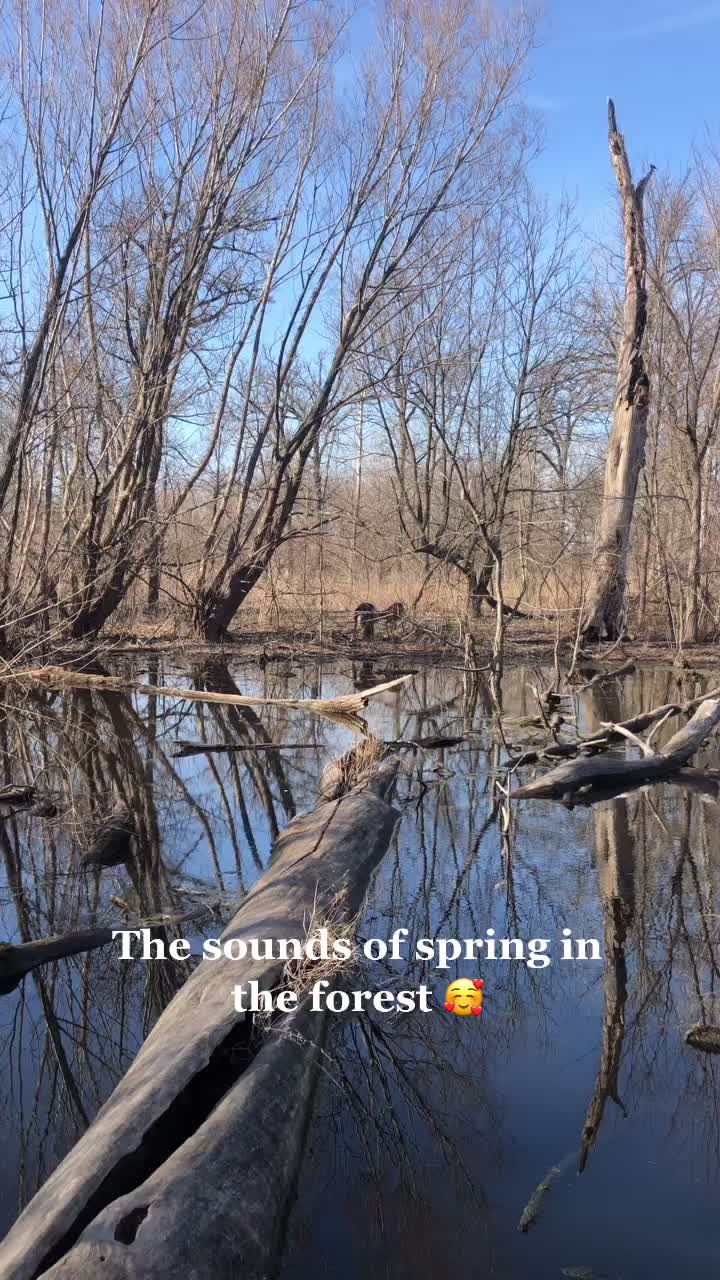 @TheGroveGlenview