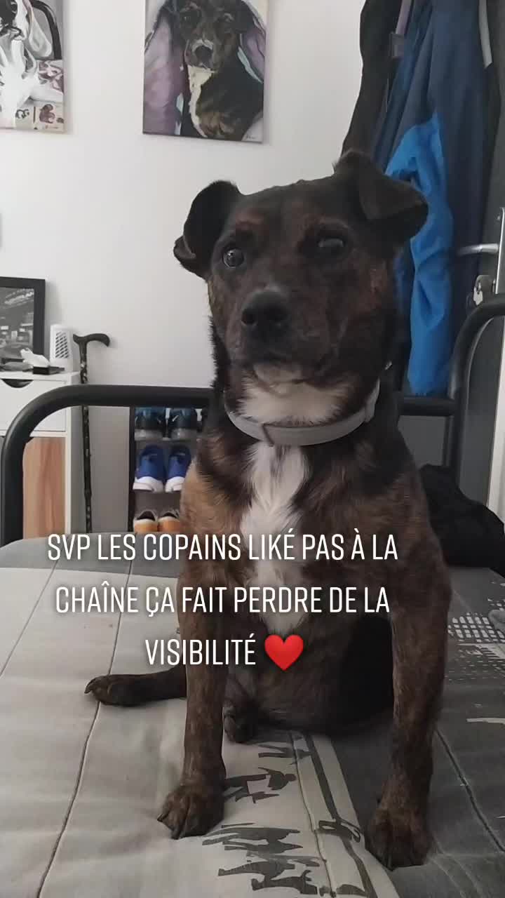 @Alexia
