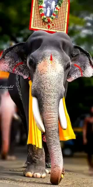 @Manu Chengannur