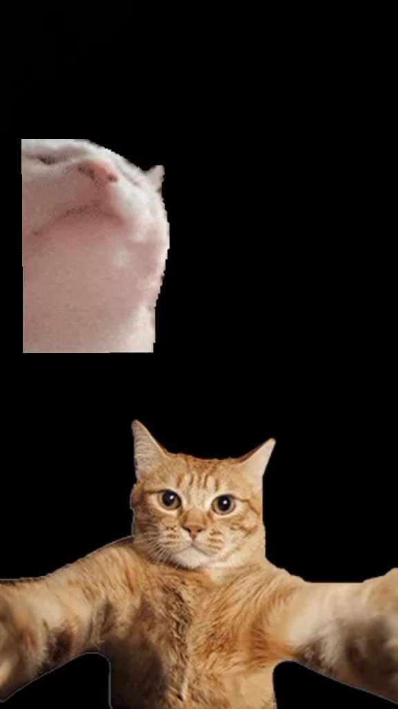 @🆘️tronzo