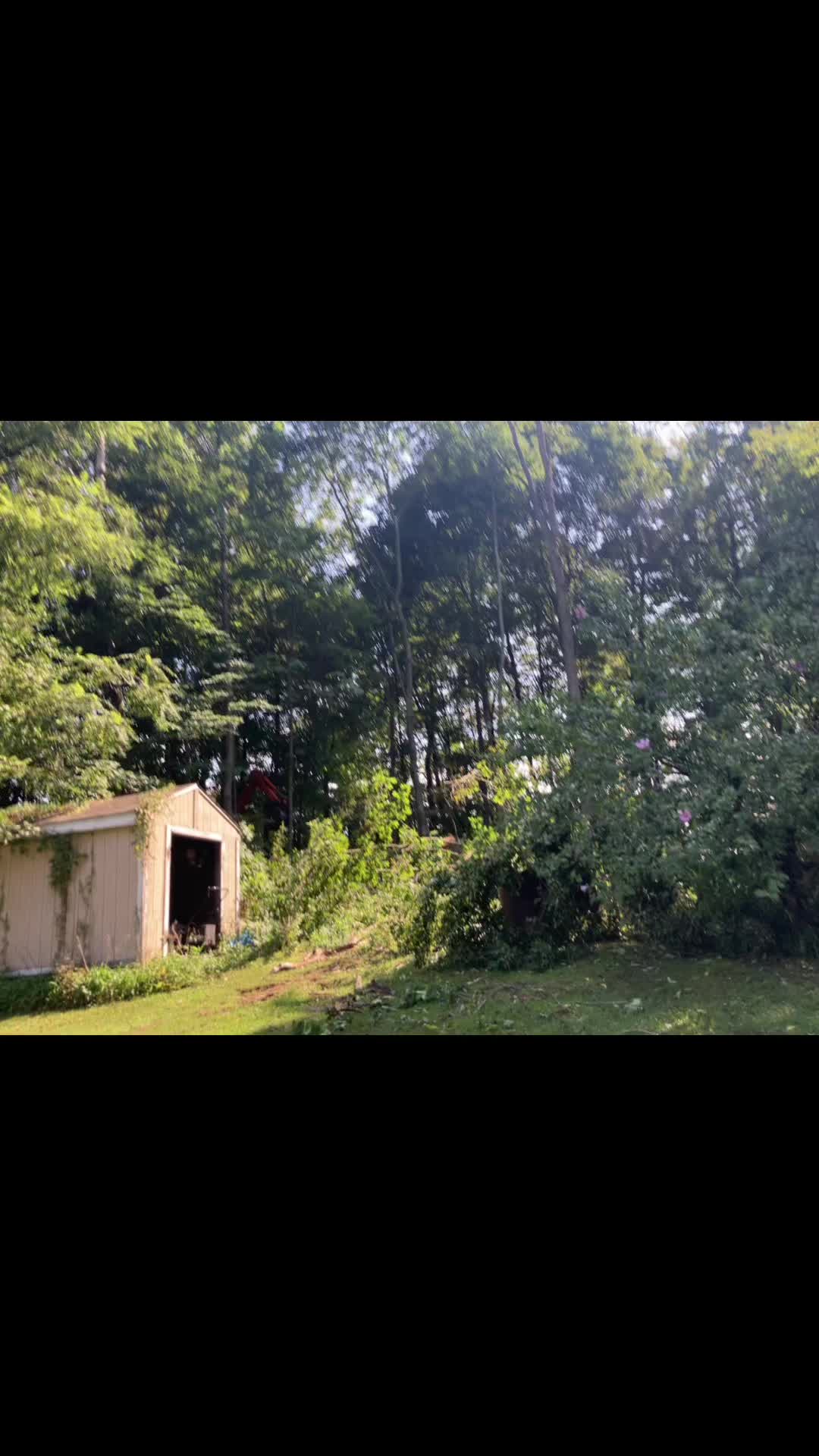 @Chads Tree Service