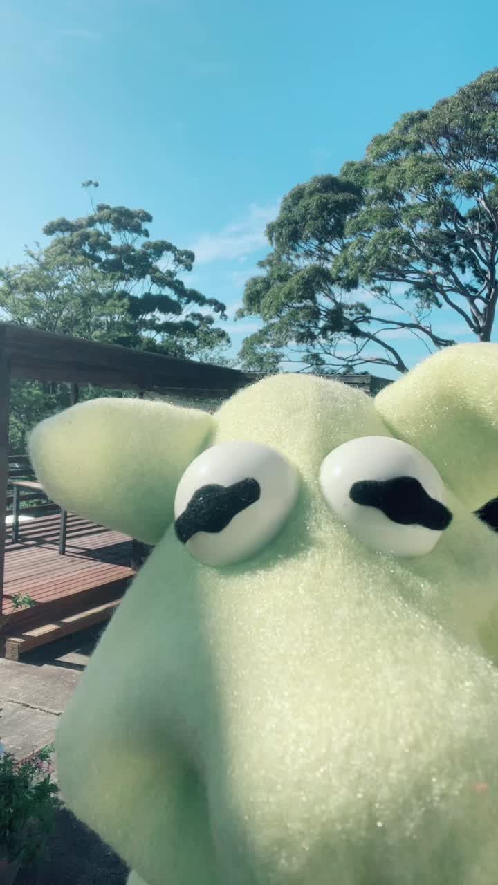 @The Doogles