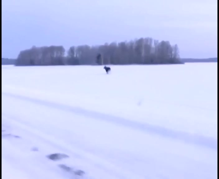 @Евгений Evgeniy