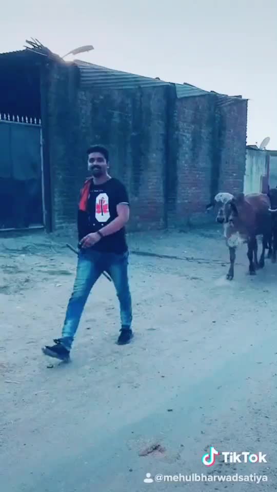 @Mehul Bharwad Satiya