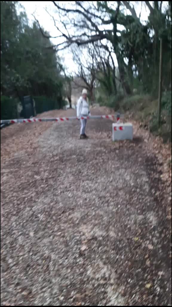 @Alda Begici