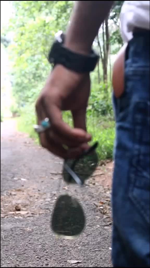 @Thaju Nellikkunnu
