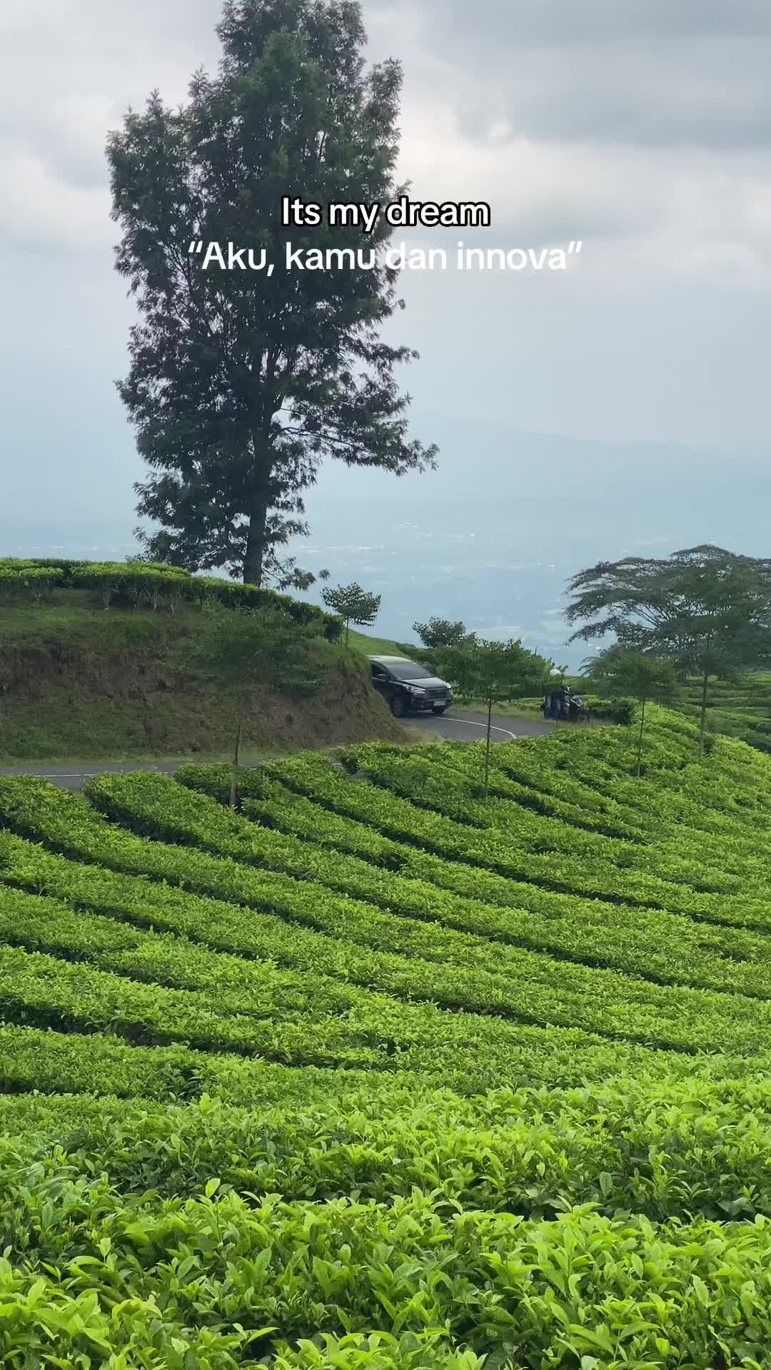 @𝑴𝑬𝑵𝑻𝑨𝑳𝑰𝑵𝑻𝑨𝑺&rsquo;