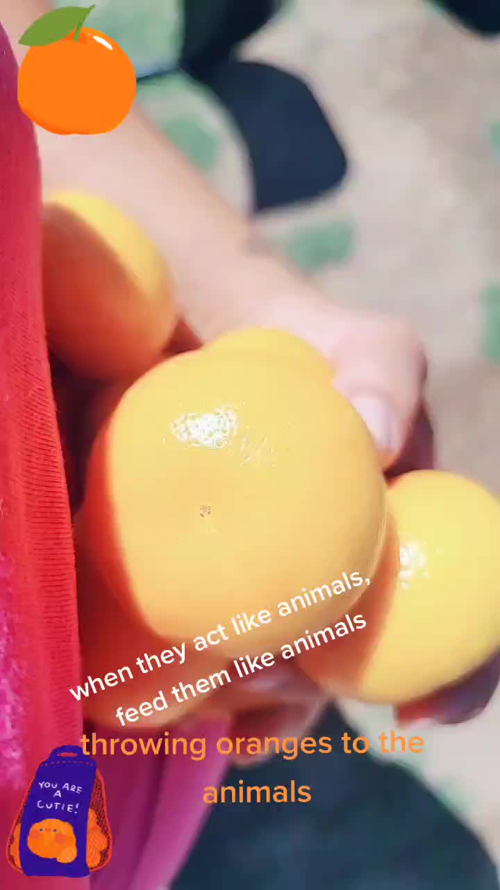 @user8119629879290
