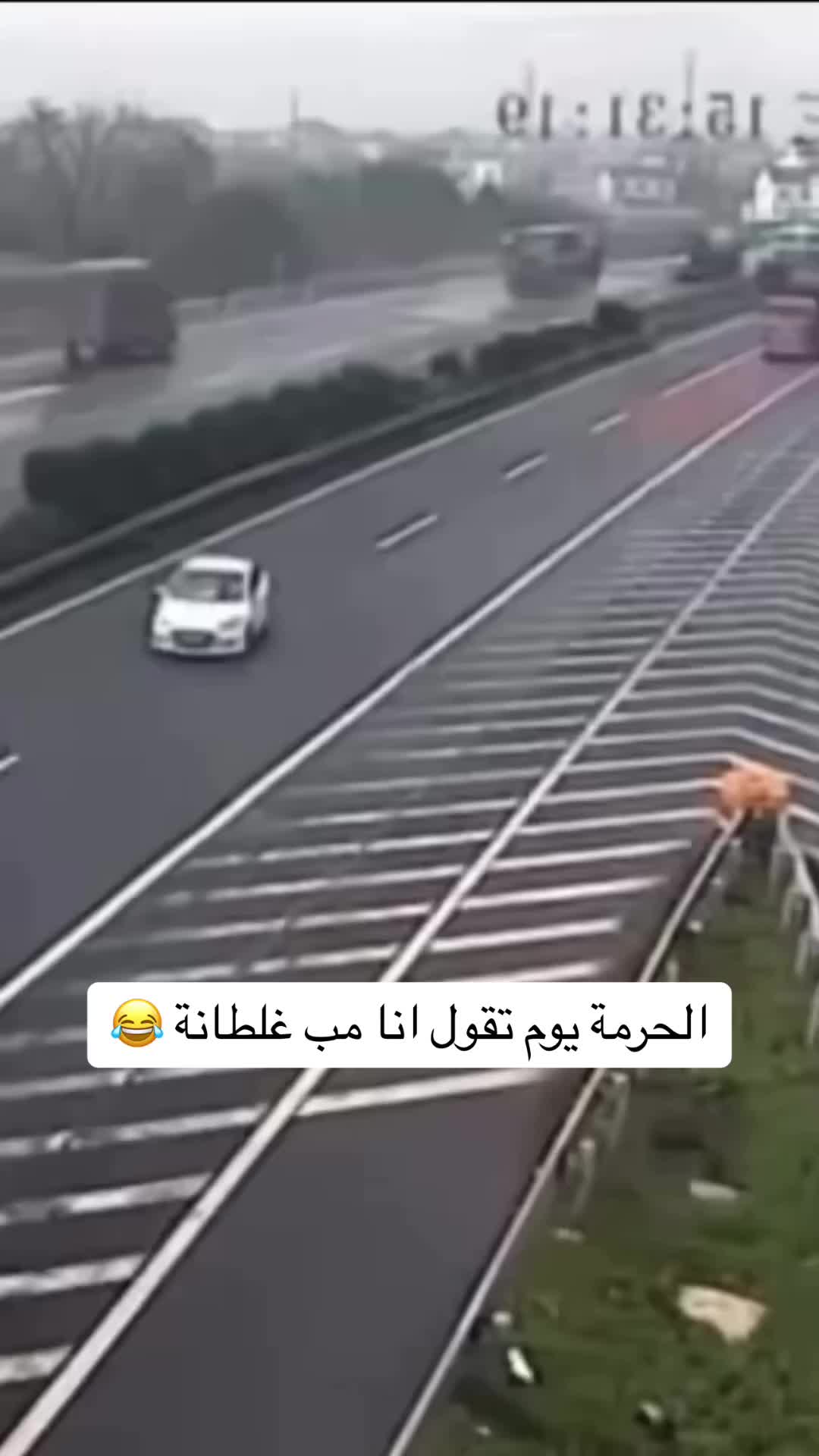 @فالكون ✊🏾💙.