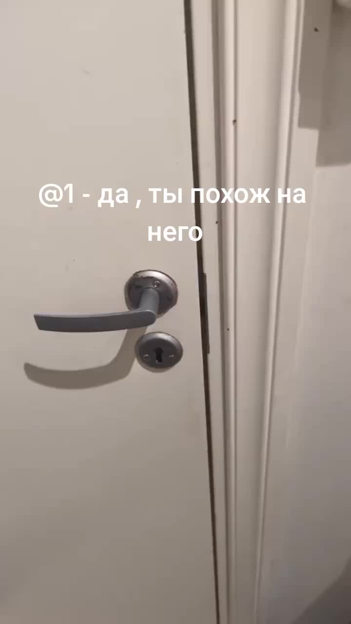 @stal.kir