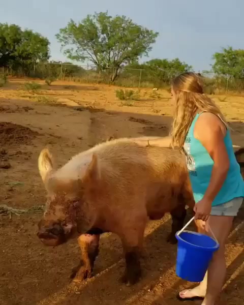 @RodeoWrecksFanPage
