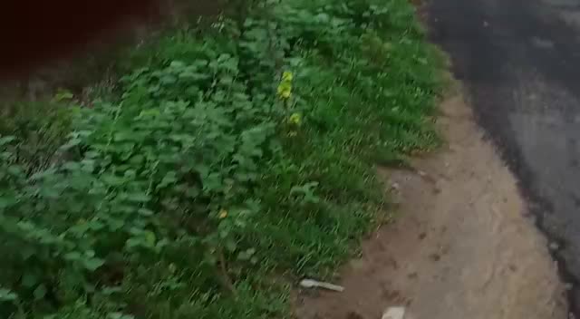 @kavin raj _5