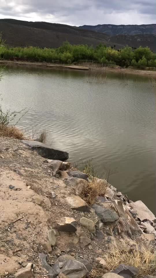 @Mu&ntilde;equita de Felpa