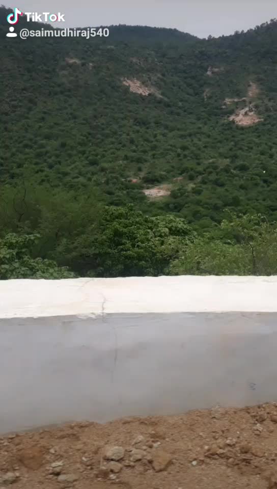 @saileela