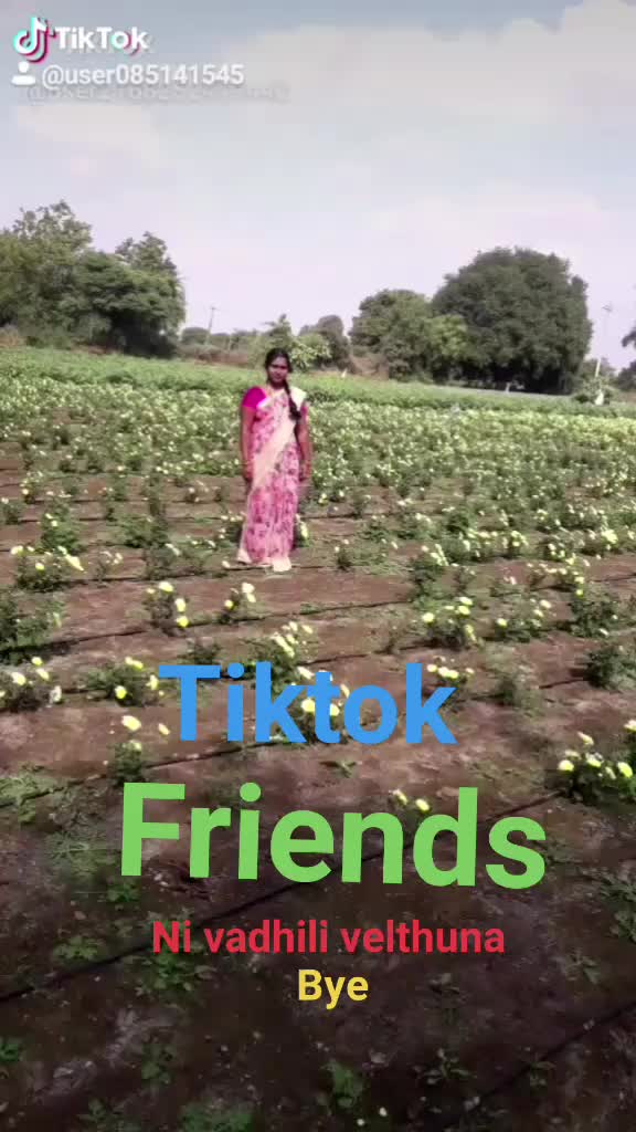 @user86774139773