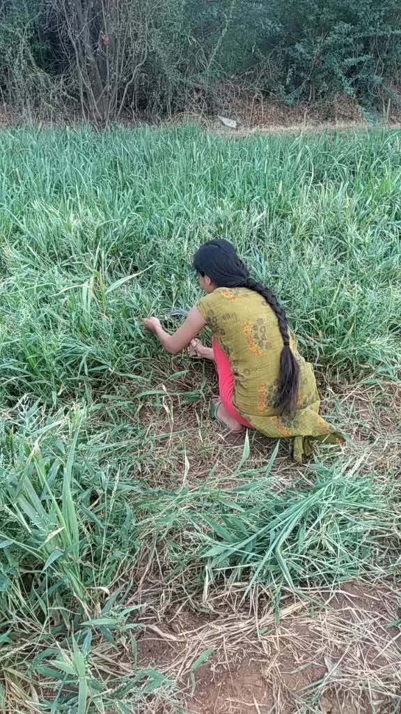 @RJ 24 Sirohi Girl😎